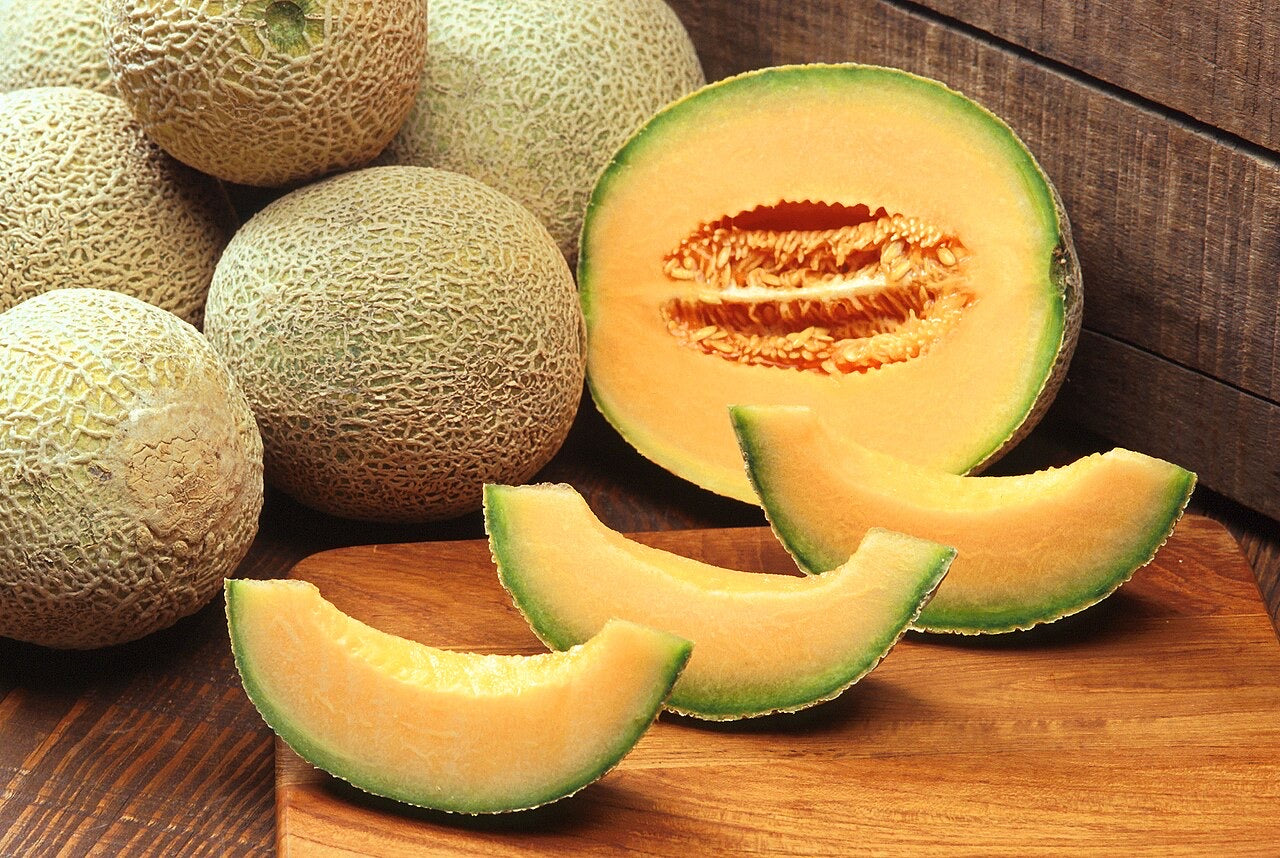 Melon bio calibre 12l