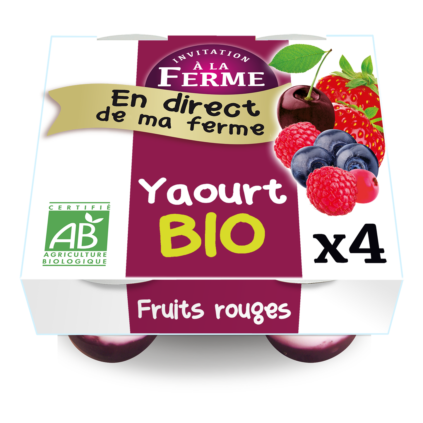 Yaourt bio aux fruits rouges - 4 x 125 g