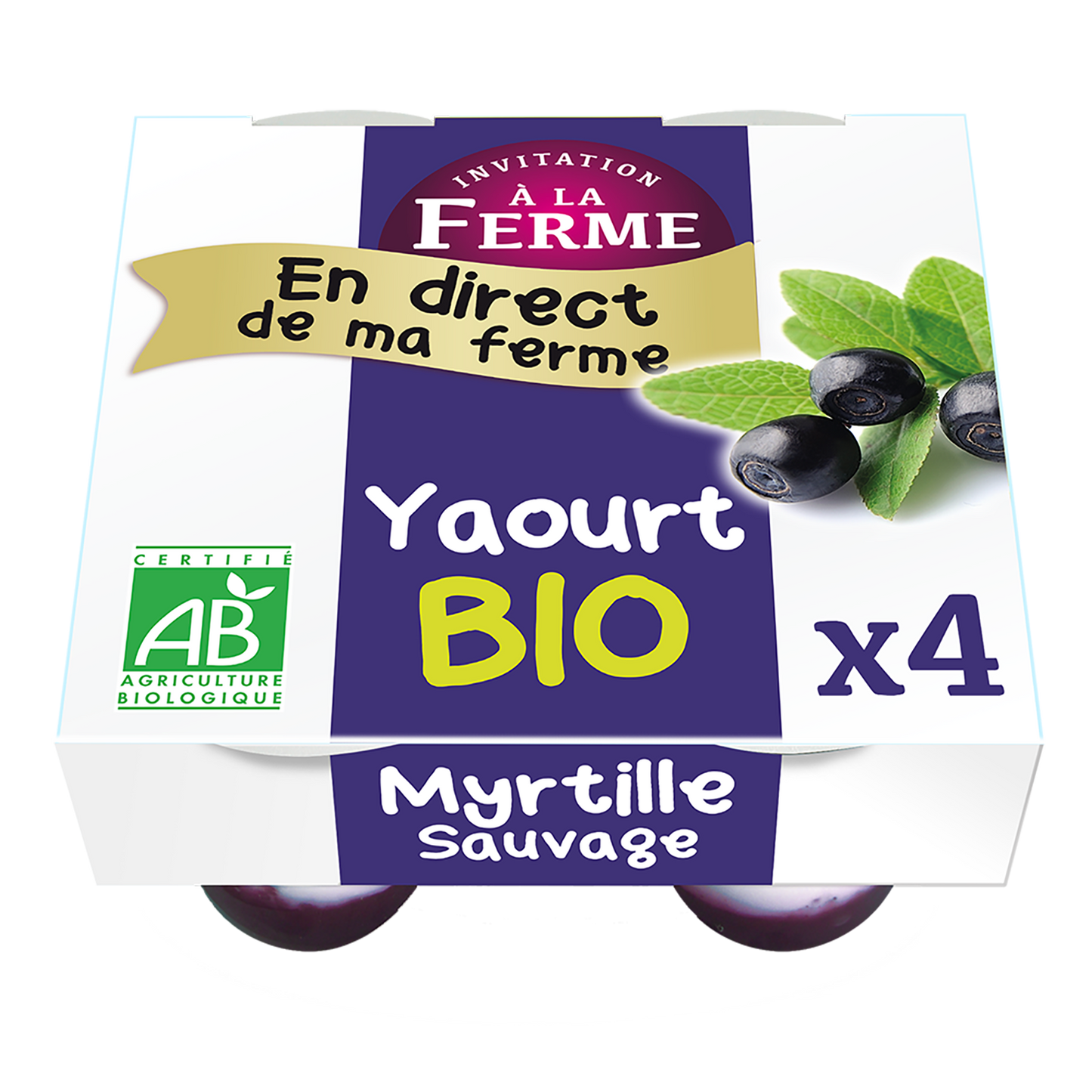 Yaourt bio à la myrtille sauvage - 4 x 125 g