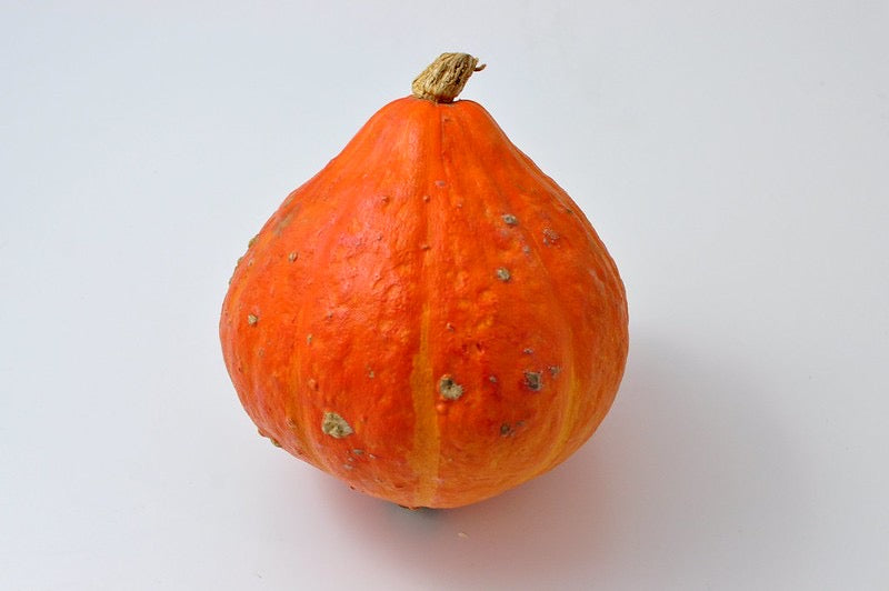 Potimarron bio, (env. 1,5 kg), par le Domaine Nourricier L'Oiselière