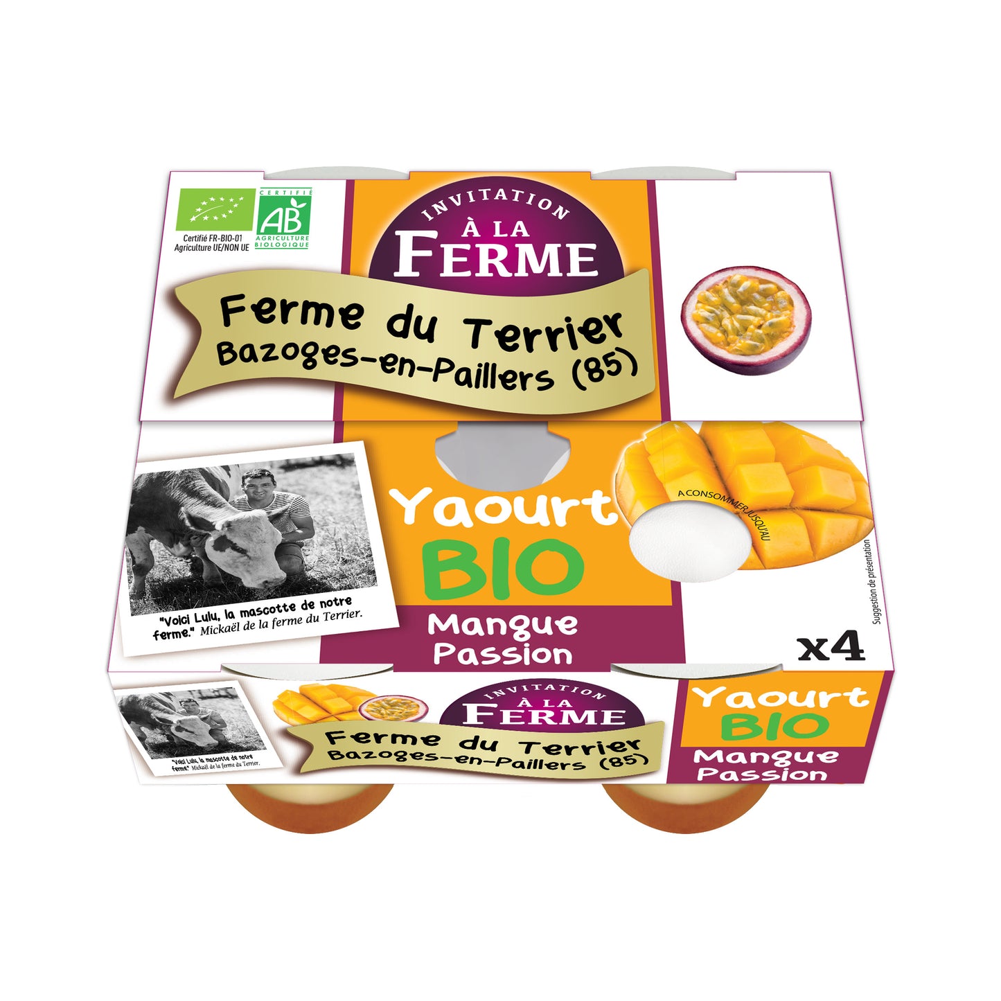 Yaourt bio à la mangue et aux fruits de la passion - 4 x 125 g
