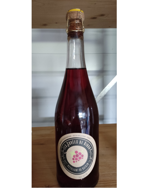 Pétillant de raisin sans alcool - 1 litre - Vignoble Rochanvigne