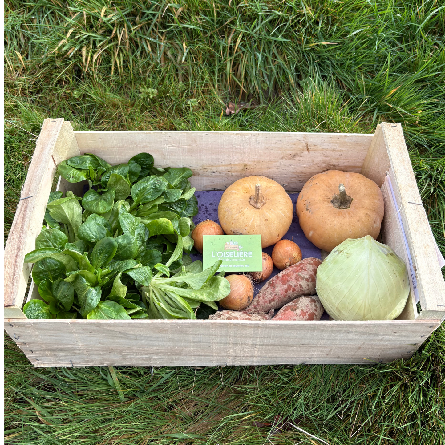 Panier de légumes bio 10,50€ bio à l'unité - L'Oiselière