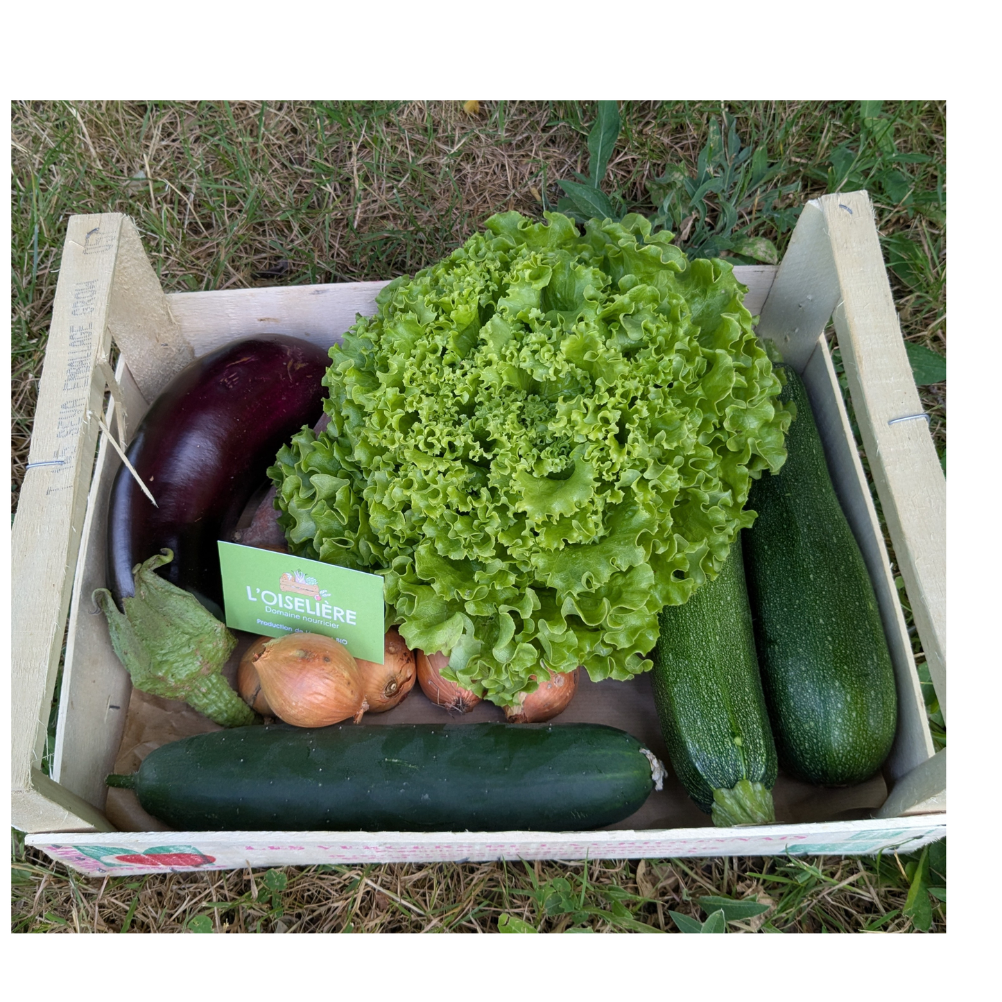 Panier de légumes bio 10,50€ bio à l'unité - L'Oiselière