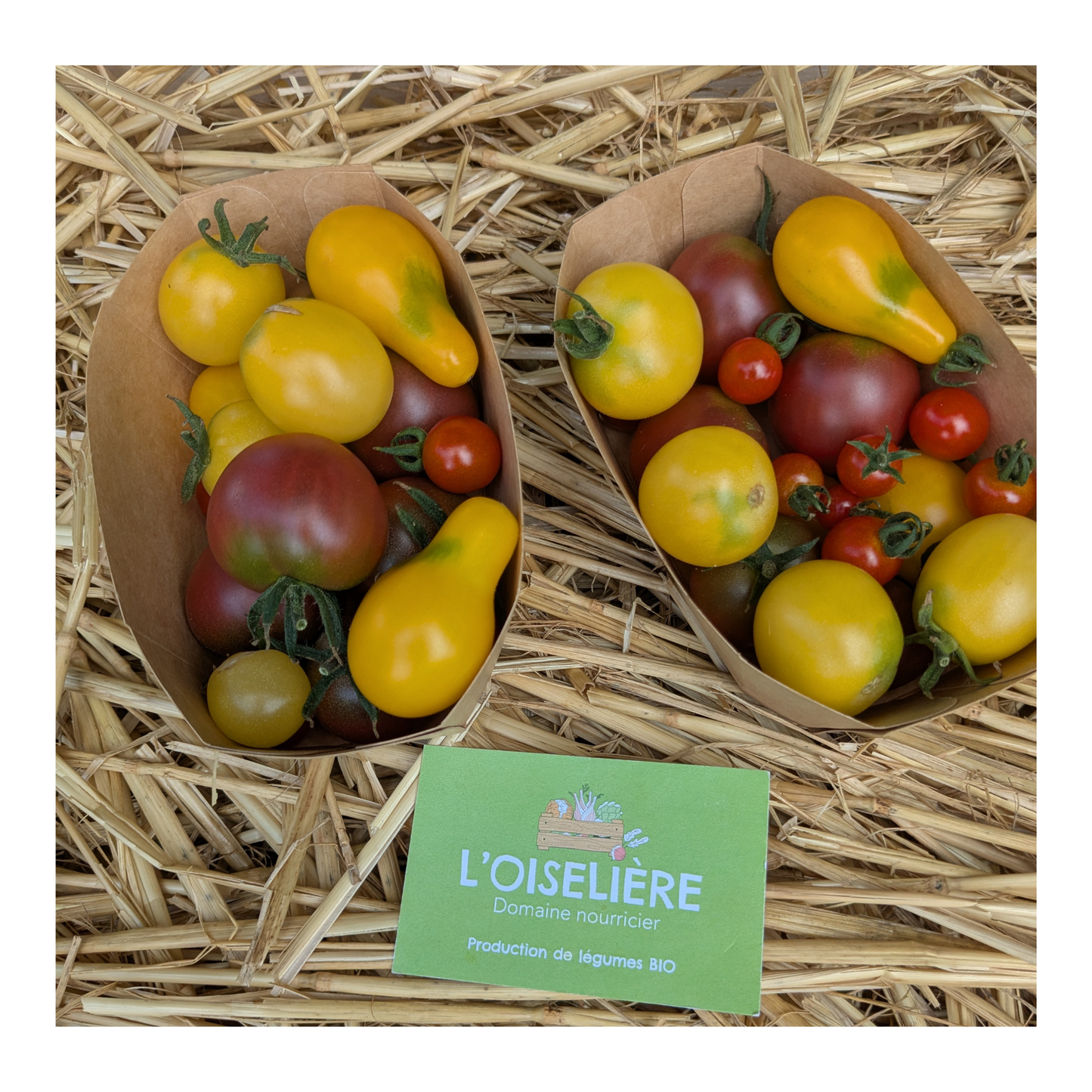 Tomates cerise bio 250g - L'Oiselière