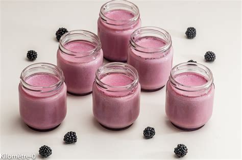YAOURT LAIT DE BREBIS MURE 500G