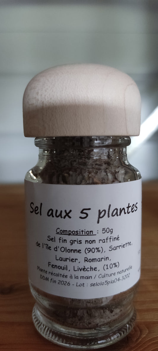 Sel aux plantes (5 plantes) 50 g