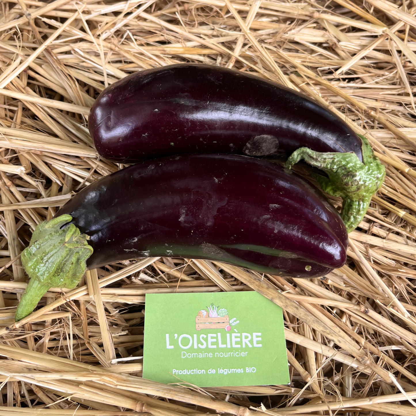Aubergine bio -les 800g par l'Oiselière Chauché