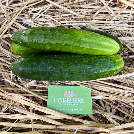 Concombre bio à l'unité - L'Oiselière