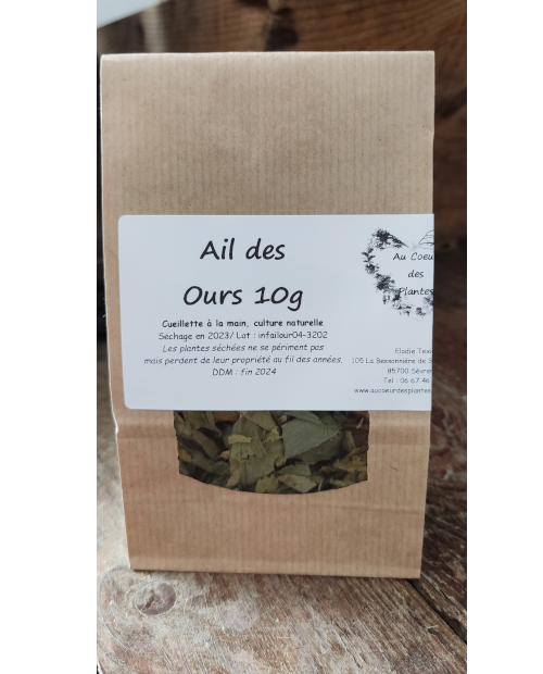 Infusion ail des ours - 10 g