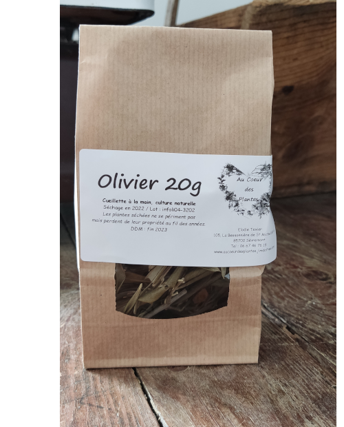 Infusion de feuilles d'olivier - 20 g