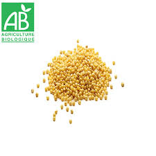 Millet décortiqué AB 500g