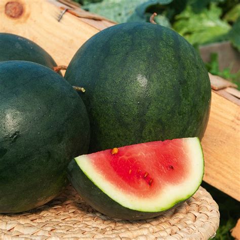 Pastèque Bio 1,5kg - domaine de l'Oiselière