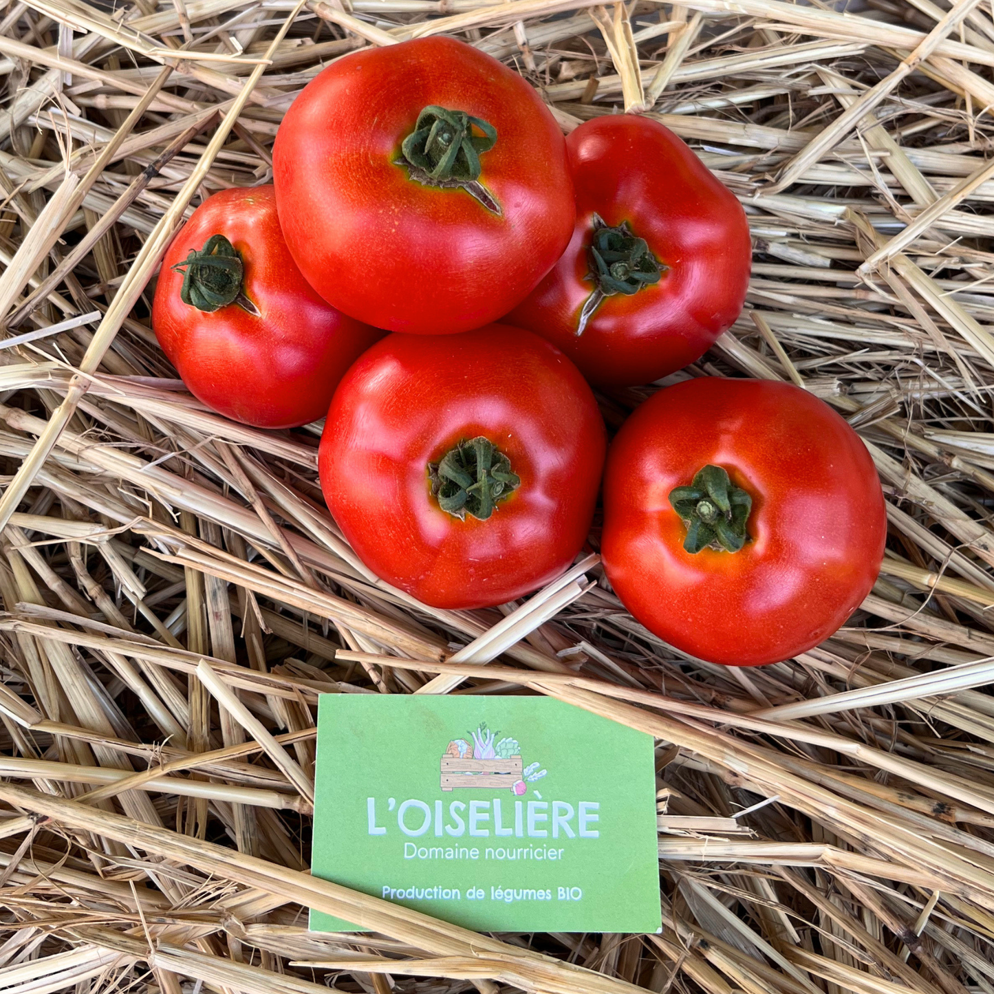 Tomates rondes bio - les 500g -  L'Oiselière