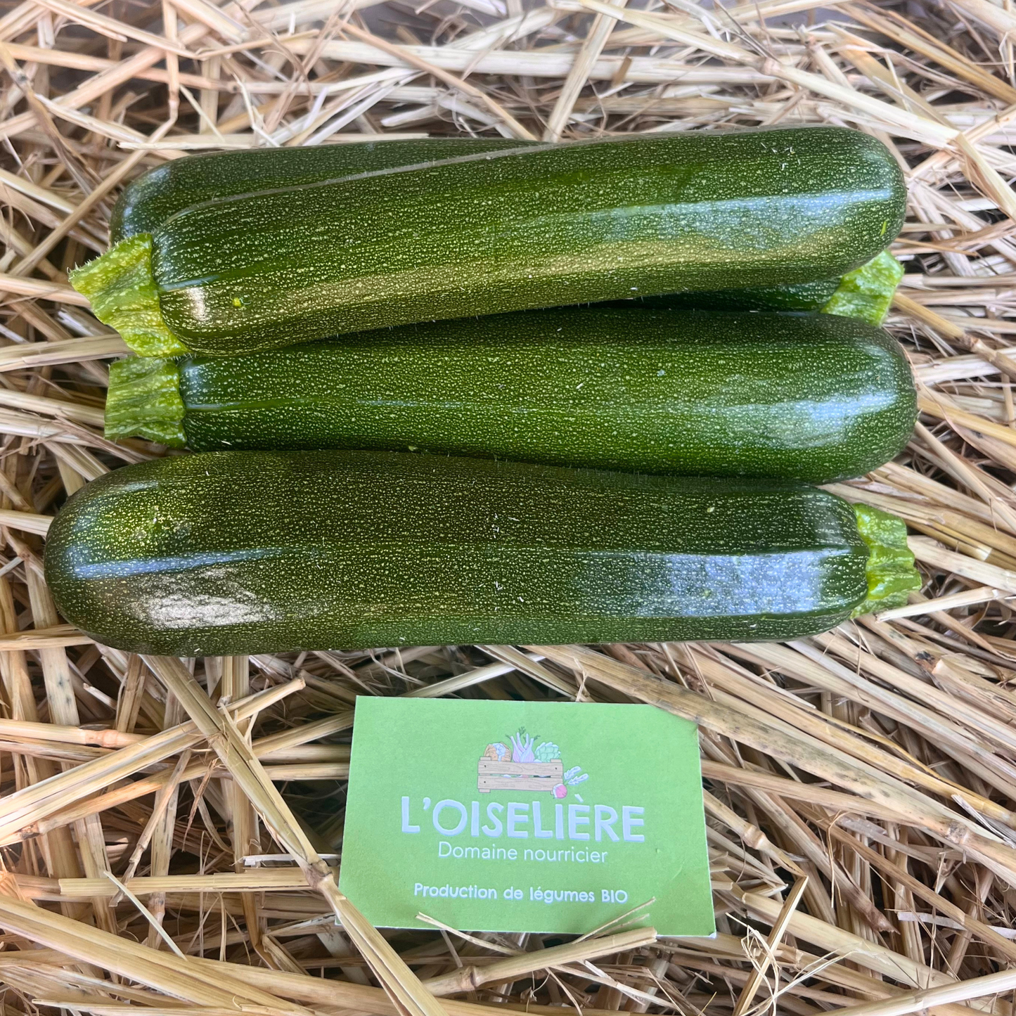 Courgette bio -les 500g par l'Oiselière Chauché