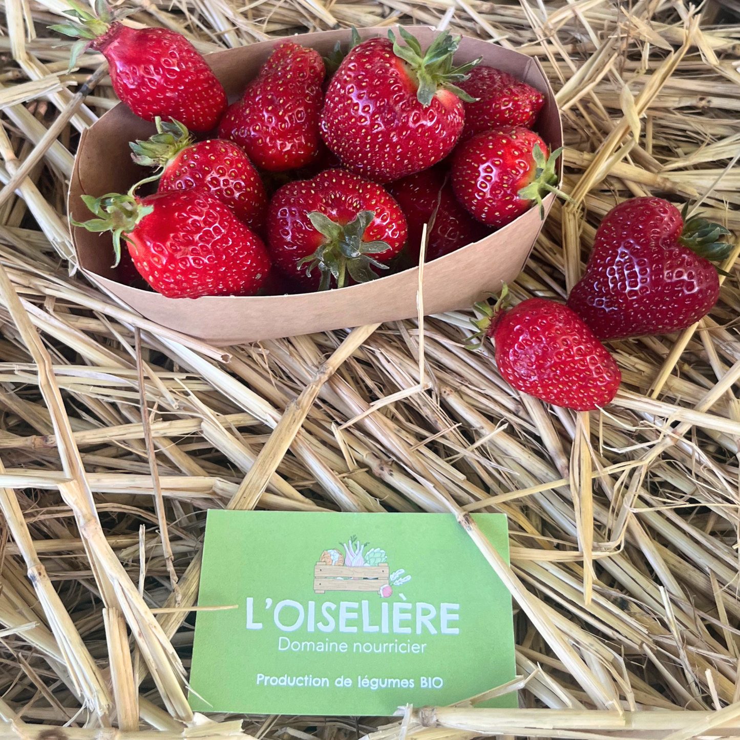 Barquette de fraises bio - 250 g - L'Oiselière