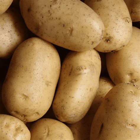 Pommes de terre bio - pour purée 1kg l'Oiselière Chauché