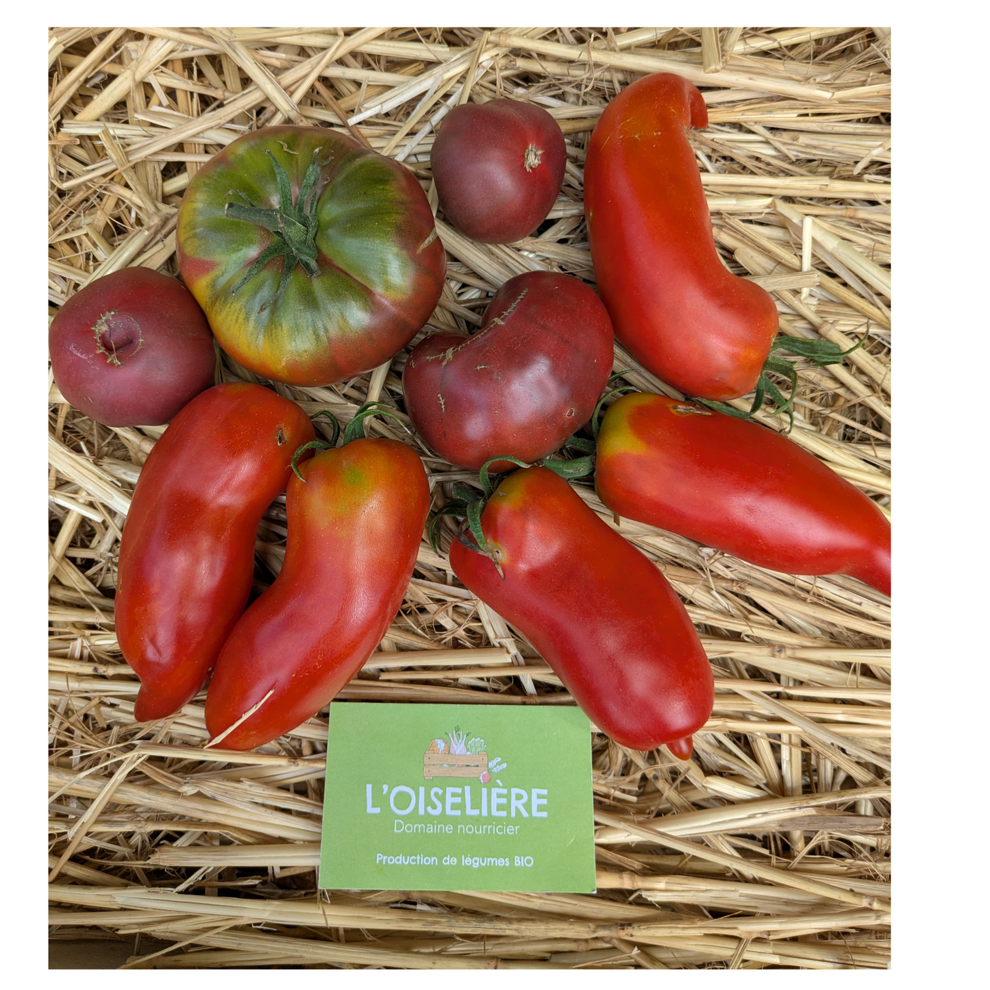 Tomates ancienne bio - les 500g L'Oiselière